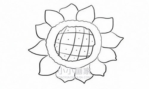 简单向日葵简笔画画法图片步骤步骤4