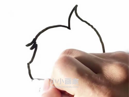 手拿榛子的松鼠简笔画画法图片步骤步骤2