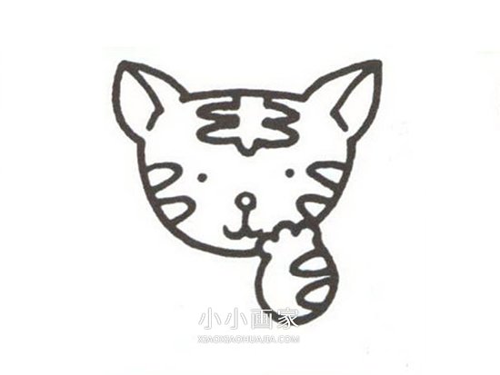 可爱彩色小老虎简笔画画法图片步骤步骤3