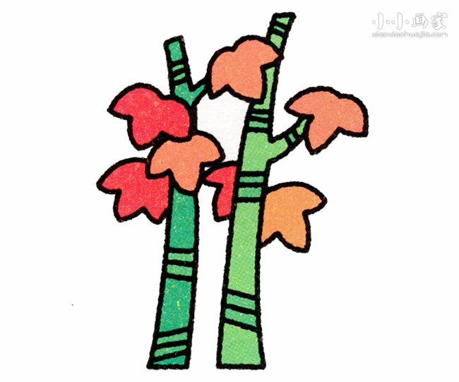 两棵枫树简笔画画法图片步骤步骤1