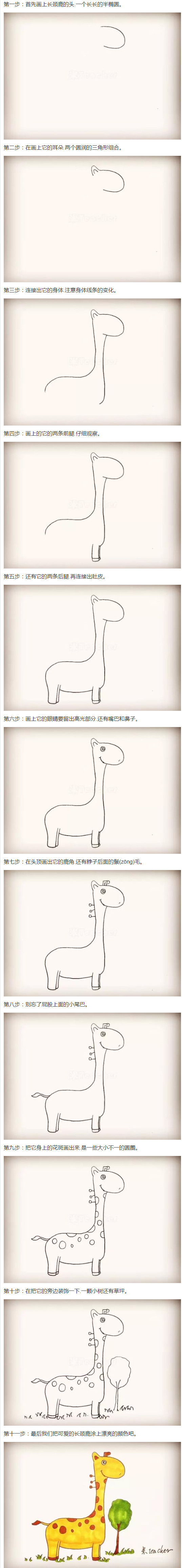 长颈鹿怎么画涂色简单又漂亮 带步骤图