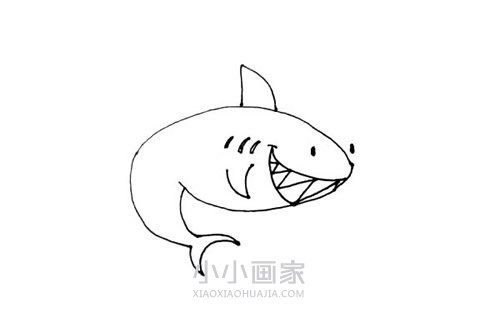 水中鲨鱼简笔画画法图片步骤步骤6