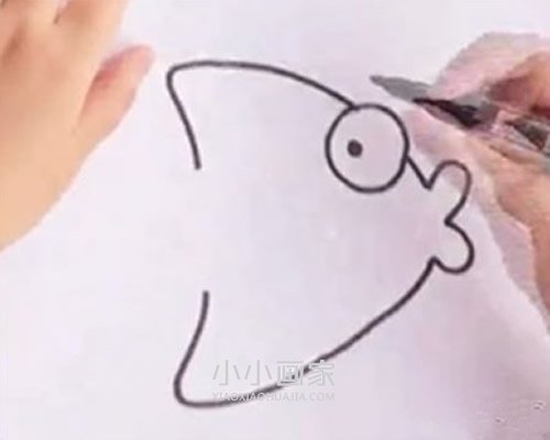 卡通热带小鱼简笔画画法图片步骤步骤3