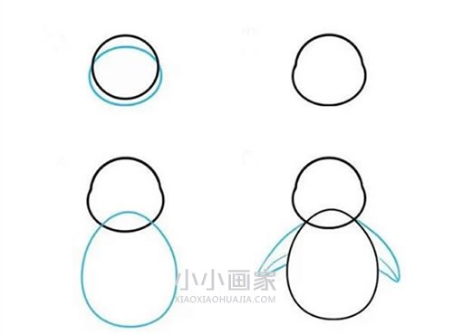 漂亮小企鹅简笔画画法图片步骤步骤2