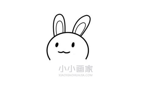 背靠胡萝卜的小白兔简笔画画法图片步骤步骤3