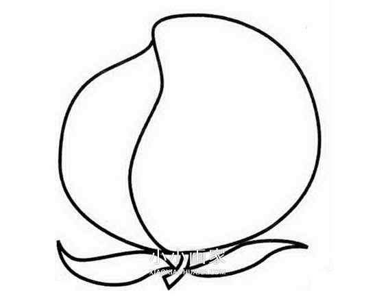 简单桃子的简笔画画法图片步骤步骤1