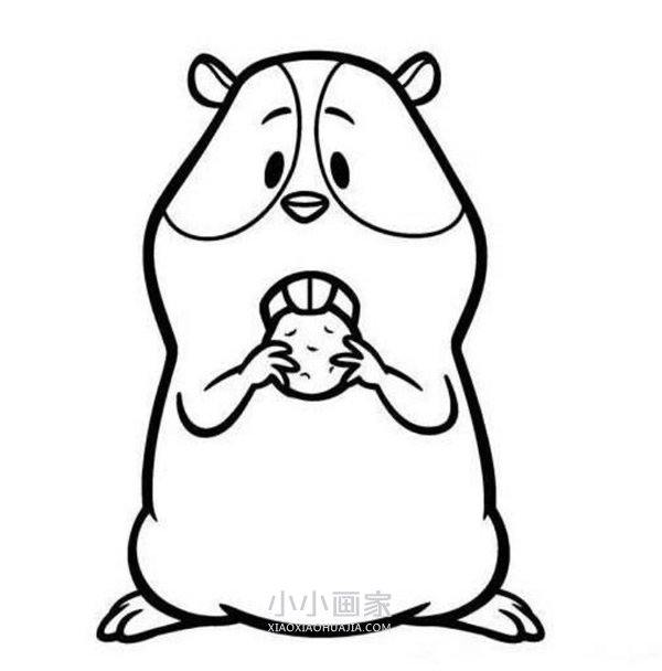 吃饼干的土拨鼠简笔画画法图片步骤步骤5