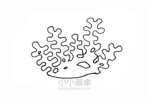 彩色珊瑚简笔画画法图片步骤步骤4