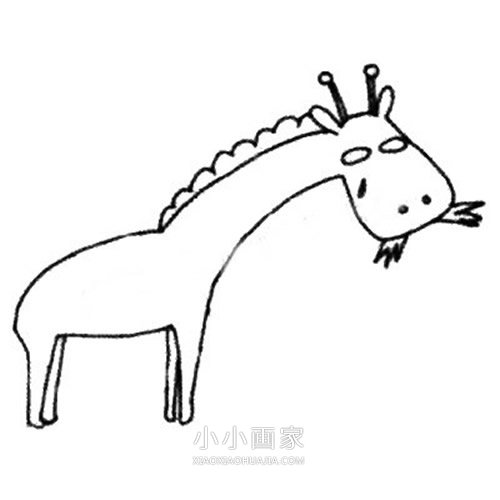 囧囧的卡通长颈鹿简笔画画法图片步骤步骤4