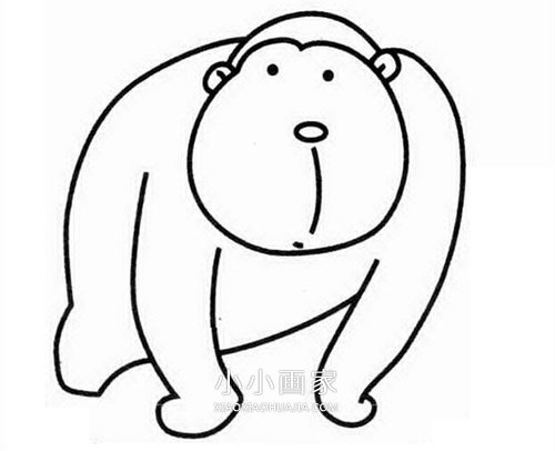 卡通大猩猩简笔画画法图片步骤步骤1