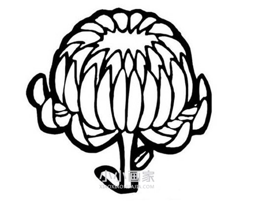 儿童清明节简笔画画法图片步骤步骤9