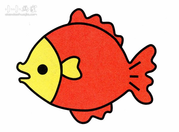 可爱小鱼简笔画画法图片步骤步骤1