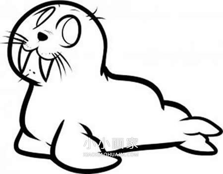 绘本故事可爱小海象简笔画画法图片步骤