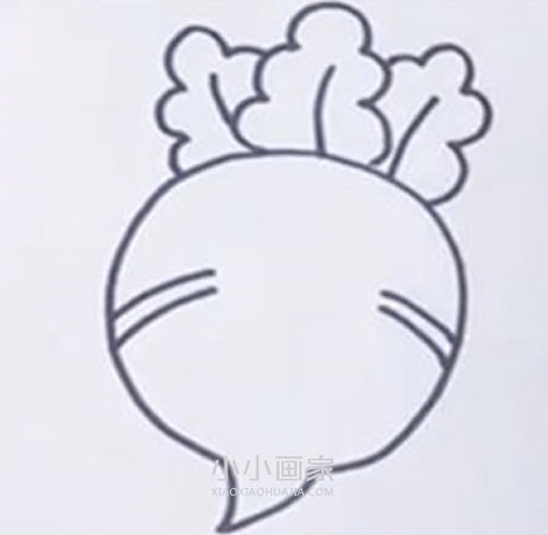 红色小萝卜简笔画画法图片步骤步骤4
