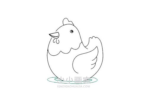 彩色胖母鸡简笔画画法图片步骤步骤6