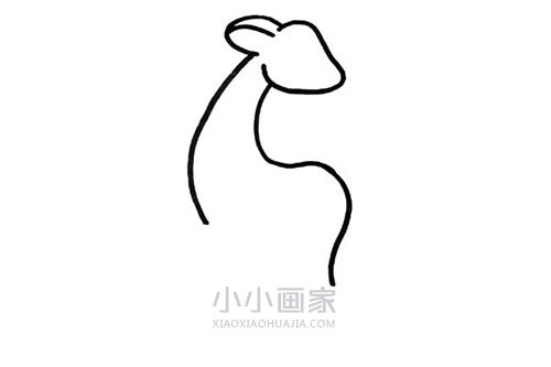 美丽梅花鹿简笔画画法图片步骤步骤3