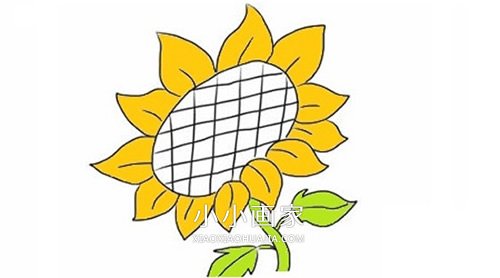 绘本故事彩色向日葵简笔画画法图片步骤