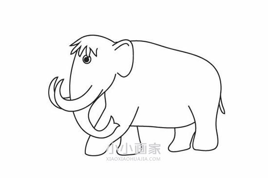 猛犸象简笔画画法图片步骤步骤6
