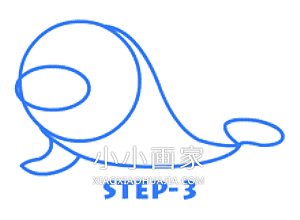 可爱卡通小海狮简笔画画法图片步骤步骤4