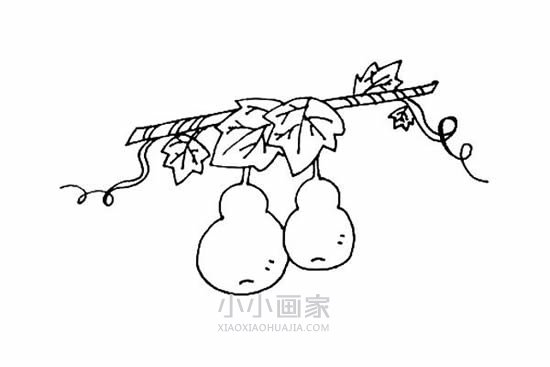 可爱葫芦简笔画画法图片步骤步骤8