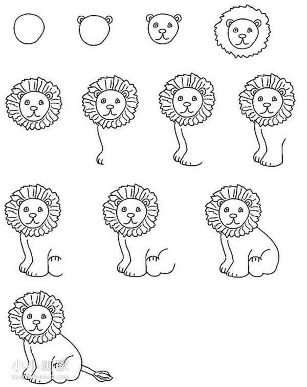 绘本故事公狮子简笔画画法图片步骤
