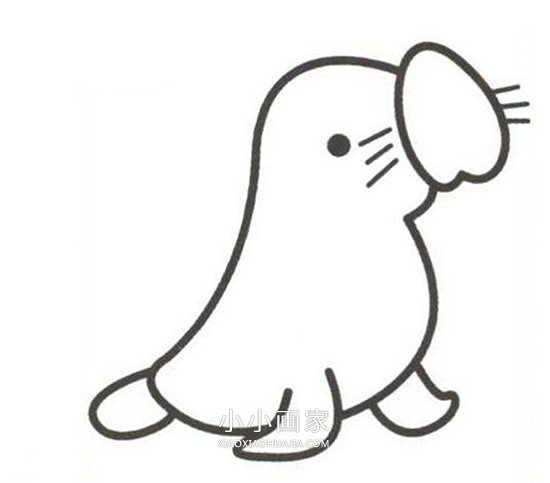 彩色海豹简笔画画法图片步骤步骤4