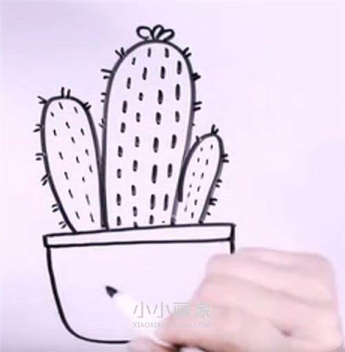 仙人掌盆栽简笔画画法图片步骤步骤6