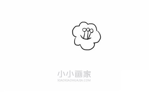 简单山茶花简笔画画法图片步骤步骤3