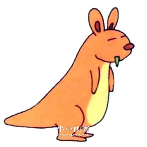 绘本故事闭眼睛的彩色袋鼠简笔画画法图片步骤
