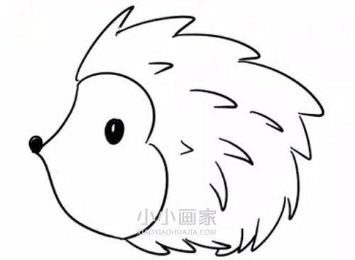 彩色小刺猬简笔画画法图片步骤步骤6