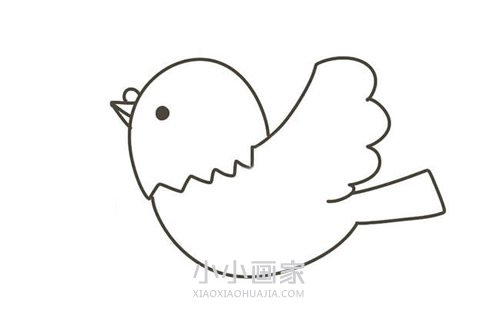 叼树枝和平鸽简笔画画法图片步骤步骤4