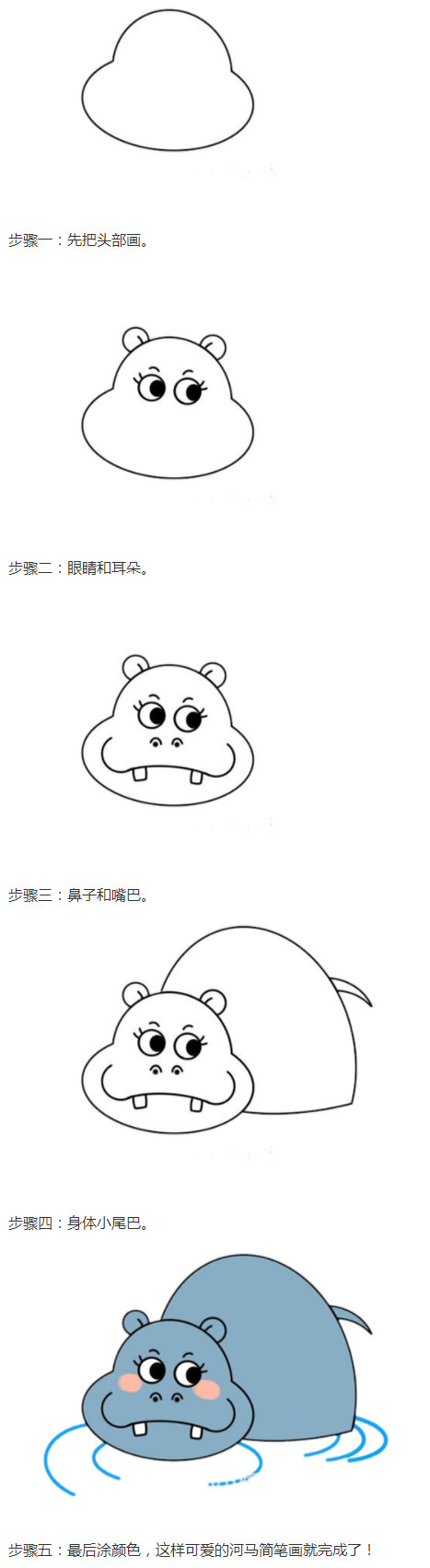 卡通河马怎么画涂色简单又可爱步骤1