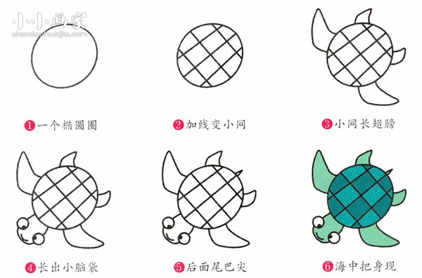 绘本故事彩色小海龟简笔画画法图片步骤