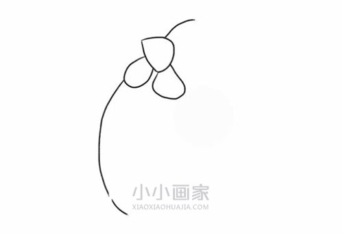 胖胖大母鸡简笔画画法图片步骤步骤3