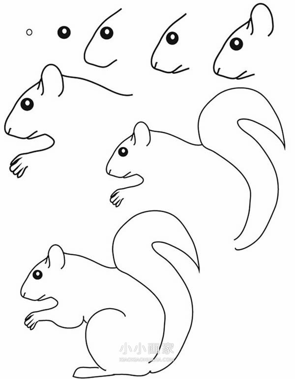 绘本故事机警的松鼠简笔画画法图片步骤