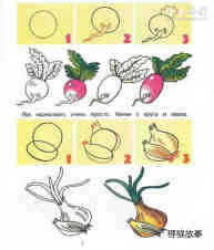 水萝卜和洋葱的简笔画画法图片步骤