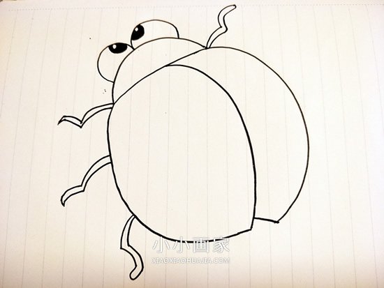 卡通瓢虫简笔画画法图片步骤步骤3