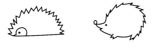 绘本故事可爱小刺猬简笔画画法图片步骤