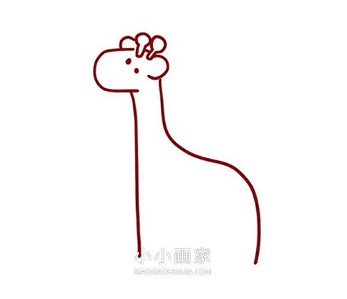 可爱卡通长颈鹿简笔画画法图片步骤步骤3