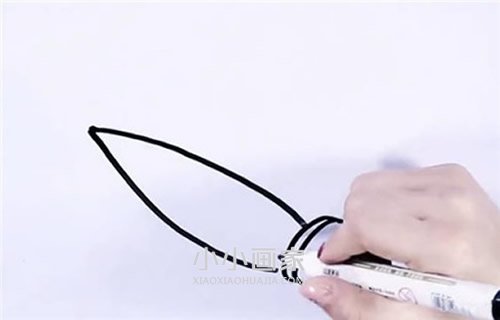 简单大白菜简笔画画法图片步骤步骤3