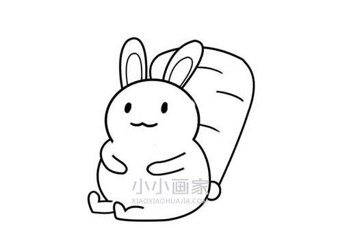 背靠胡萝卜的小白兔简笔画画法图片步骤步骤6
