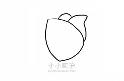 彩色郁金香简笔画画法图片步骤步骤3