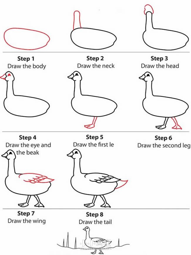 绘本故事走路的鸭子简笔画画法图片步骤
