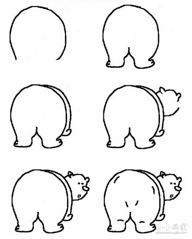 绘本故事熊的简笔画画法图片步骤