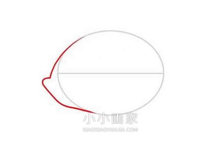 可爱小扁鱼简笔画画法图片步骤步骤3