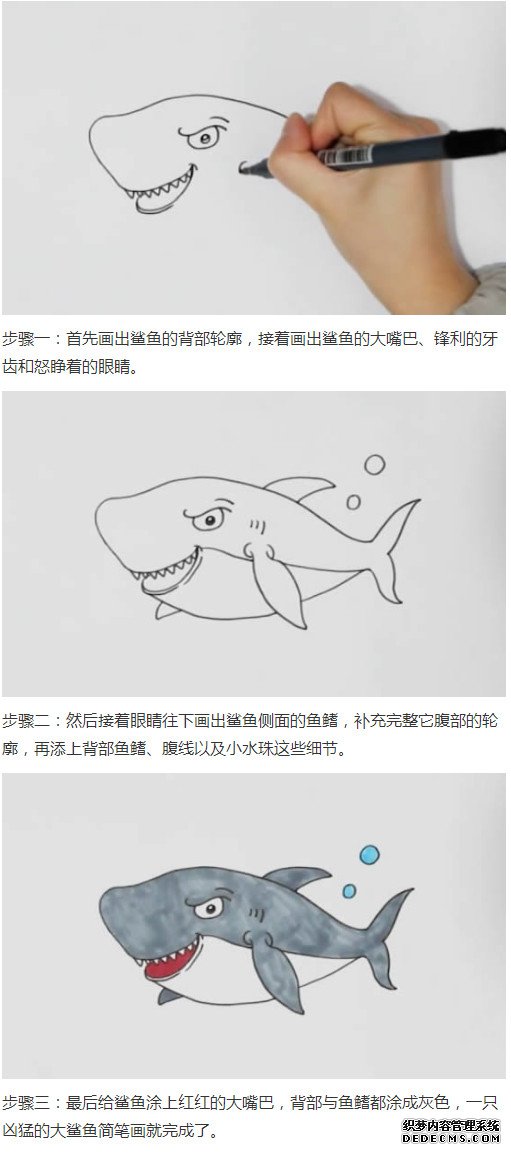 绘本故事卡通大鲨鱼涂色简单又好看