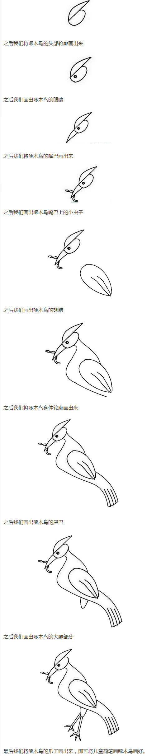 啄木鸟怎么画带步骤简单又好看步骤1