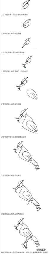 绘本故事啄木鸟怎么画带步骤简单又好看