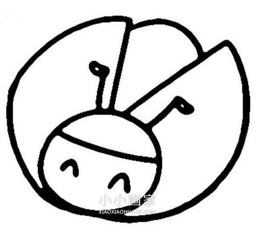 卡通七星瓢虫简笔画画法图片步骤步骤3