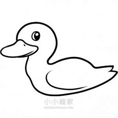 绘本故事简单鸭子简笔画画法图片步骤
